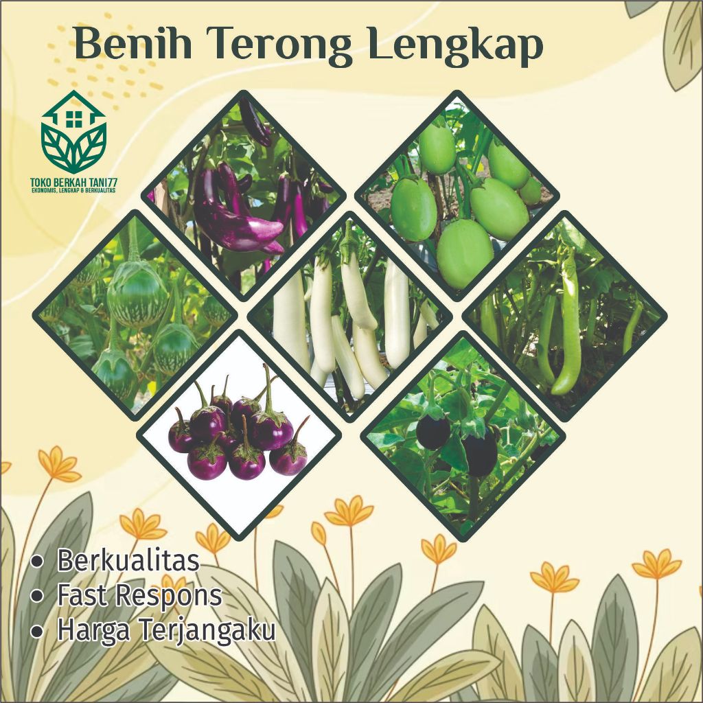 Benih Terong Bibit Terong Bibit Sayur Terong Benih sayur Terong Benih Bibit Sayur-sayuran