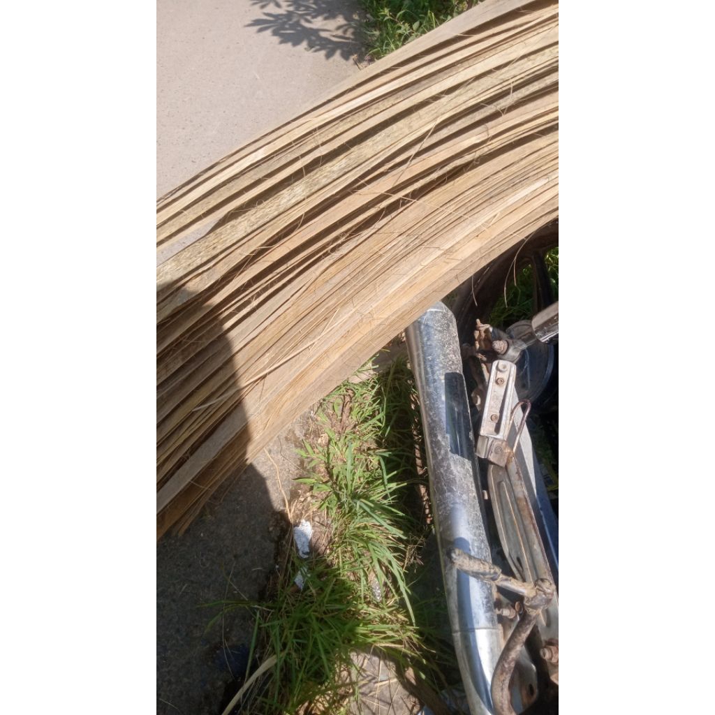 20 ancak tahu, alas tahu, ebeg tahu