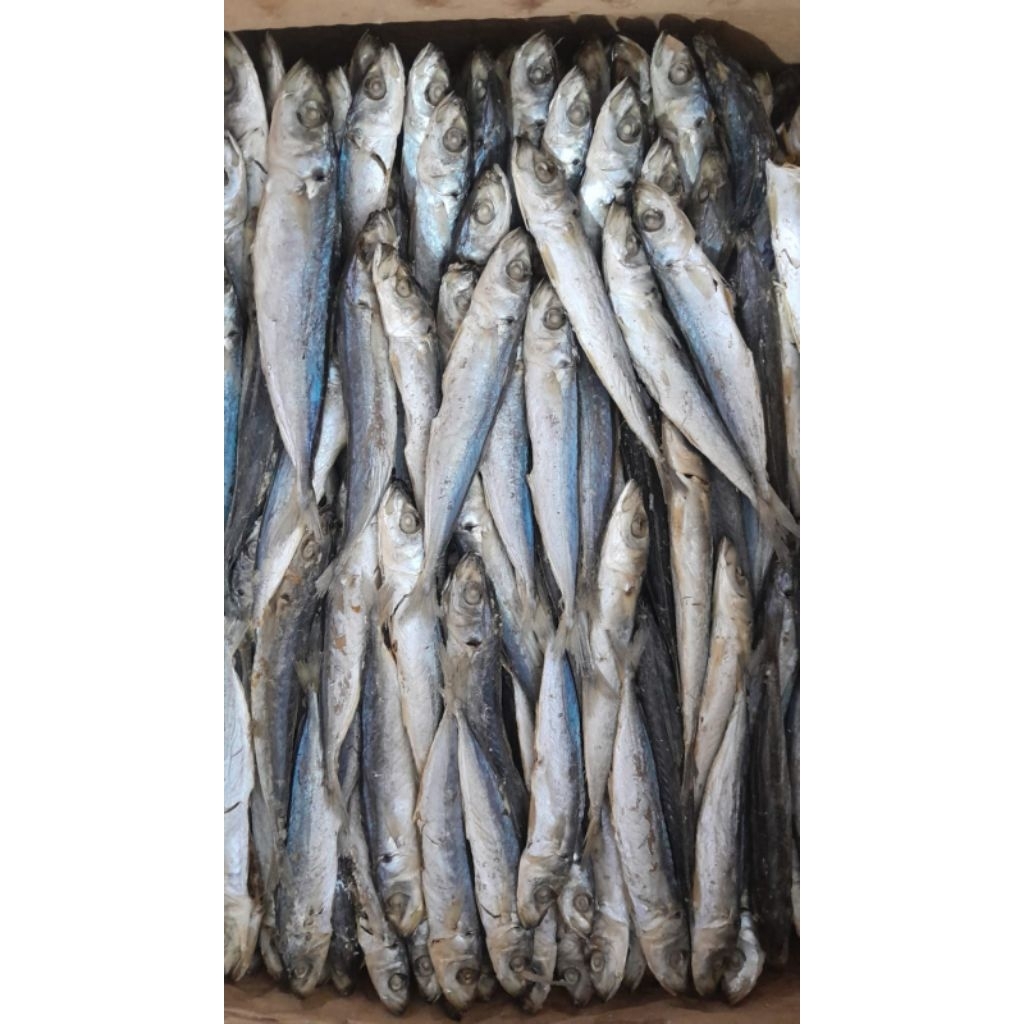 

OGAK REBUS PENA harga 68 RB perkg x berat 9KG perkotak