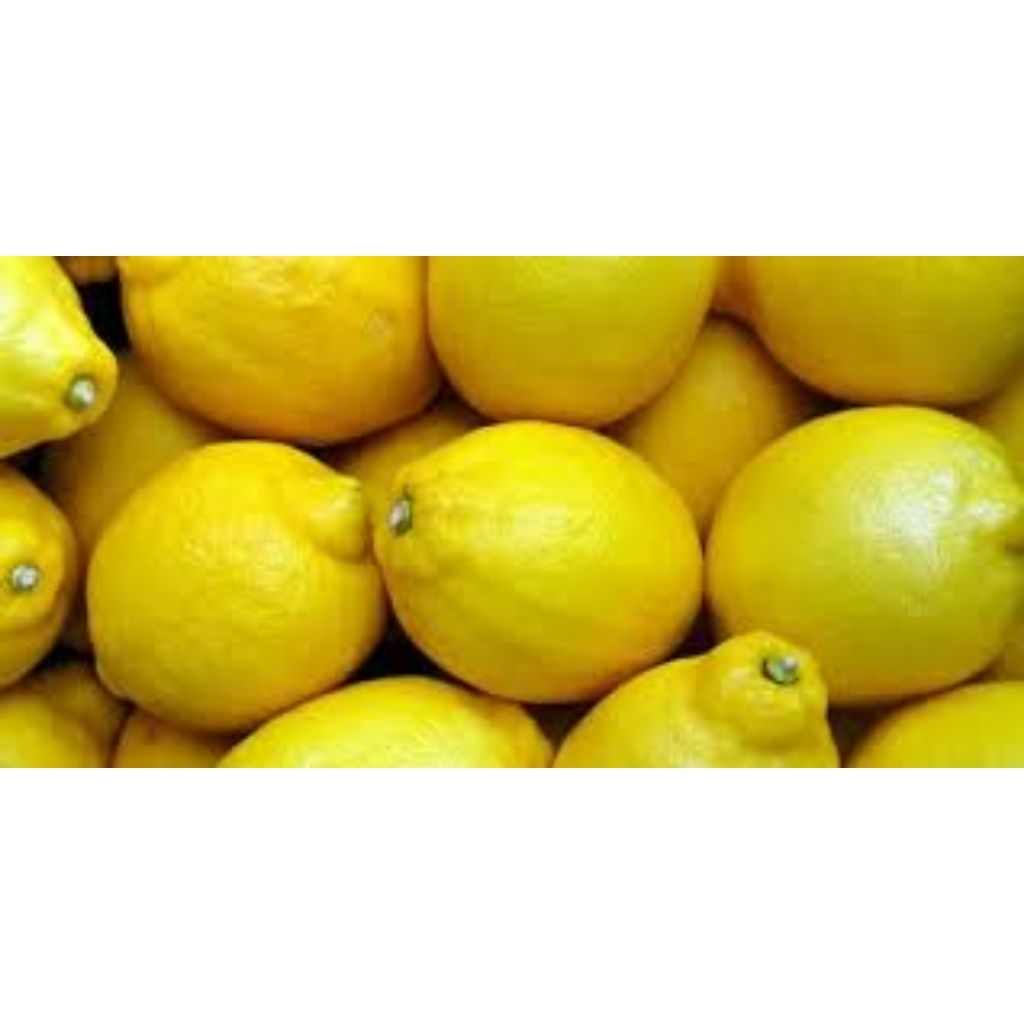 

jeruk lemon lokal segar