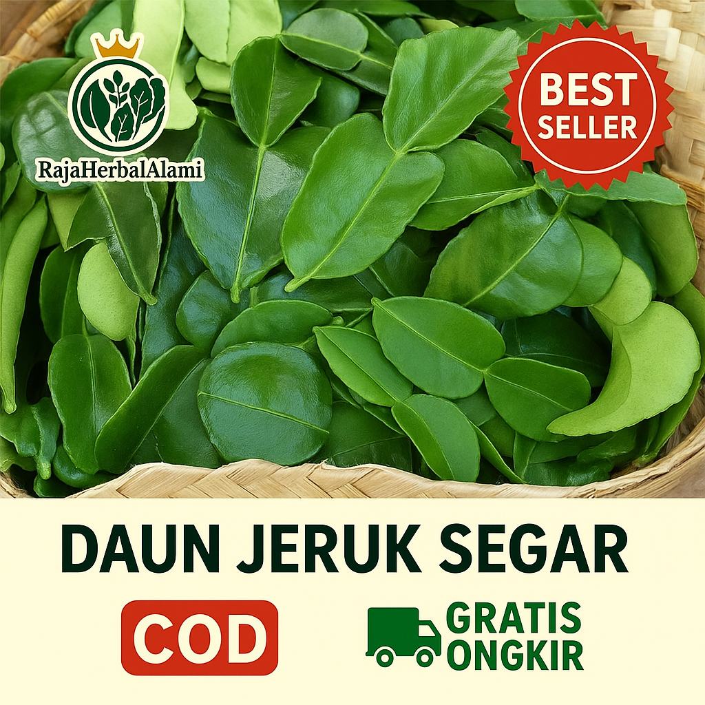 

Daun Jeruk Segar 50 Lembar – Rempah Dapur Alami & Siap Masak I COD & GRATIS ONGKIR