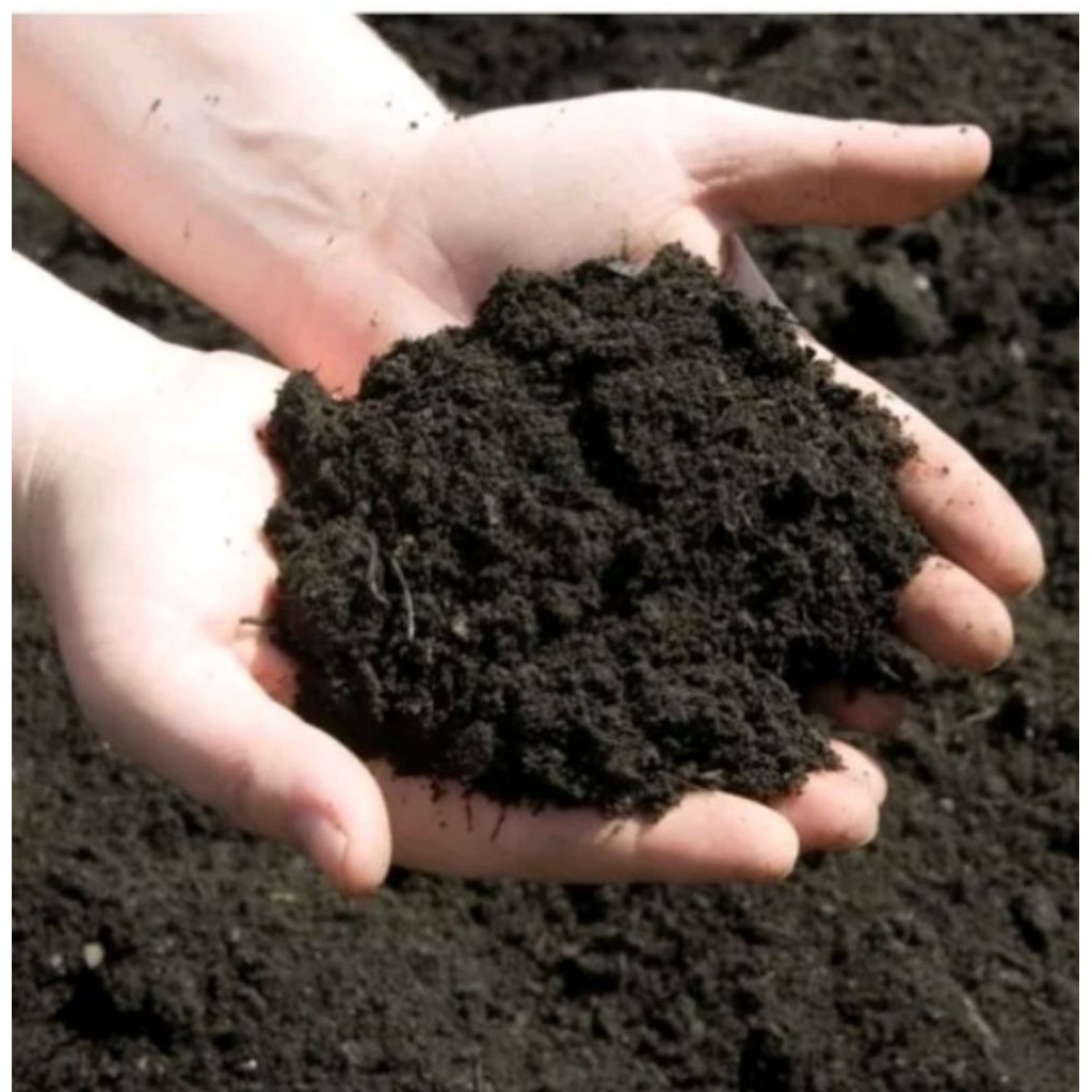 Kohe kambing halus fermentasi