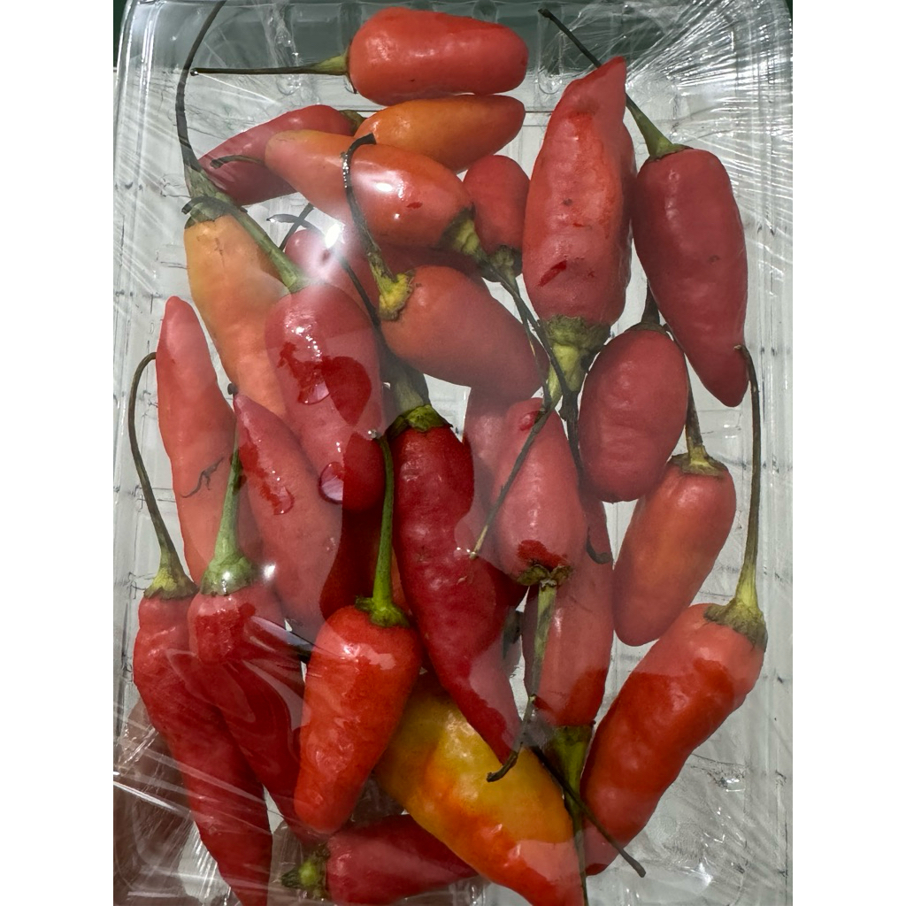 

cabe ori pedas segar 500gr