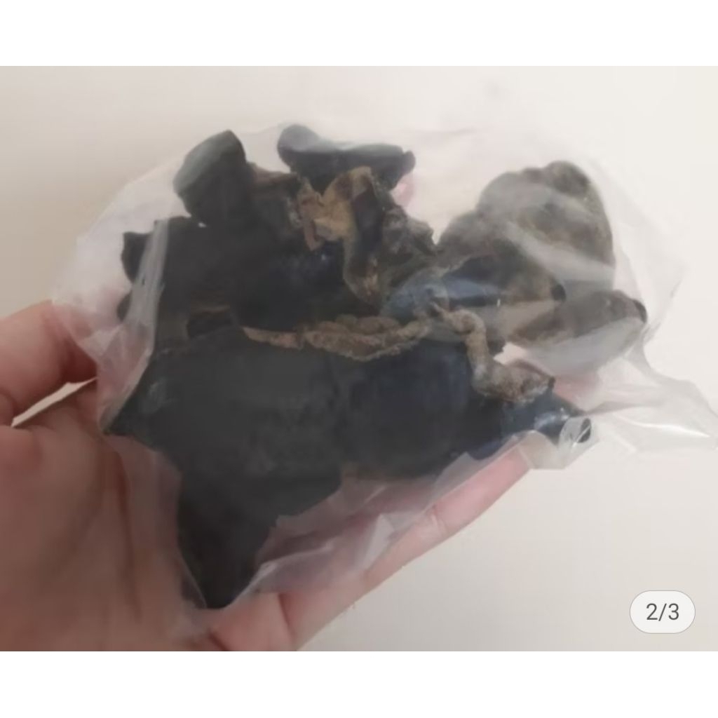 

JAMUR KUPING KERING SUPER 20 GRAM