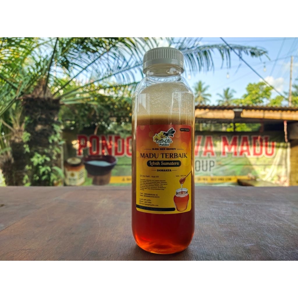 

Madu Lebah Hutan Sialang ( 1.000 gr & 500 gr )