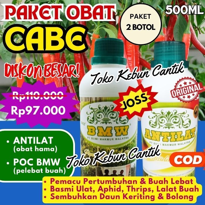 Obat Hama Cabe Antilat + Pupuk Organik BMW | Solusi Lengkap untuk Tanaman Cabe Lebat | Atasi Daun Ke