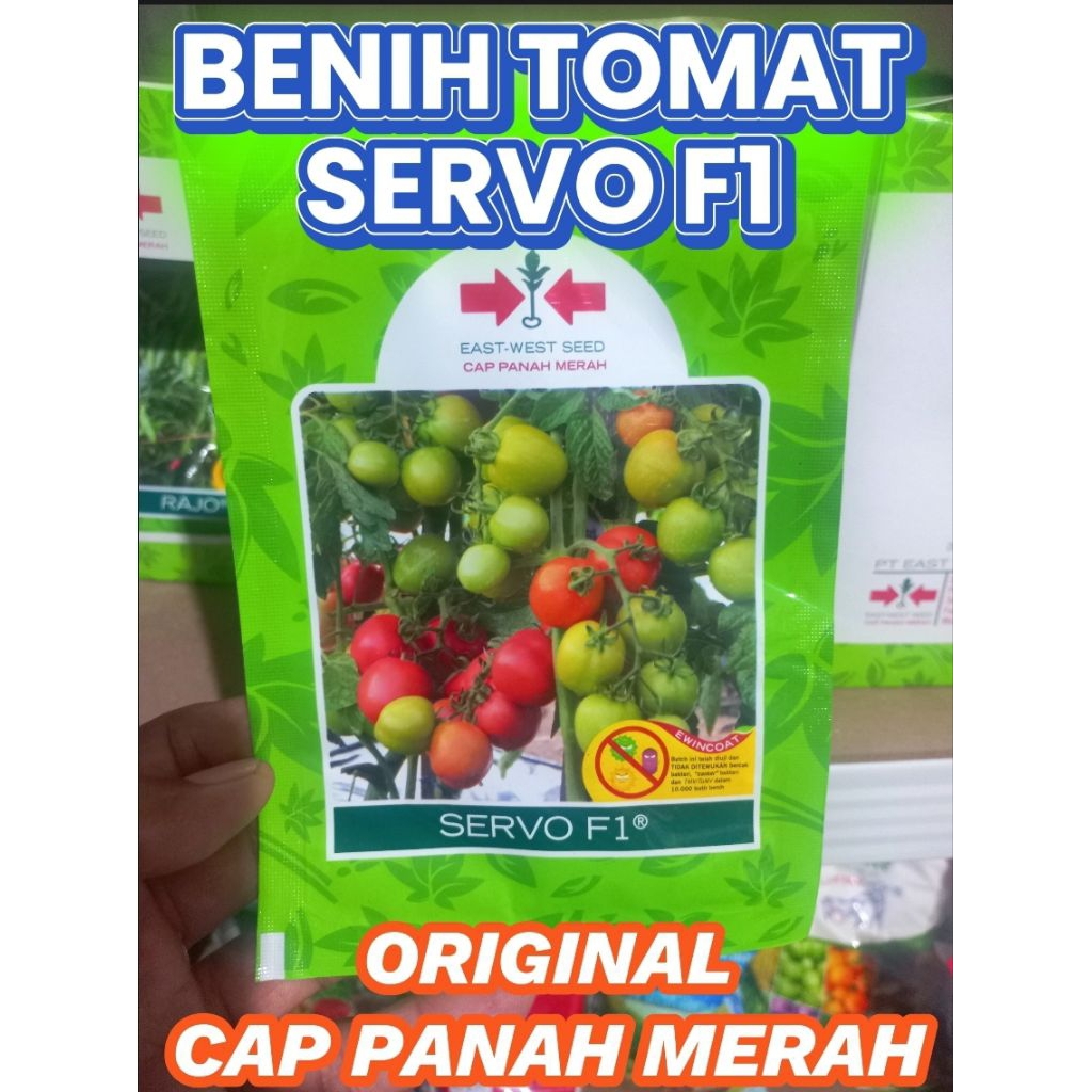BENIH TOMAT SERVO F1 CAP PANAH MERAH ORIGINAL