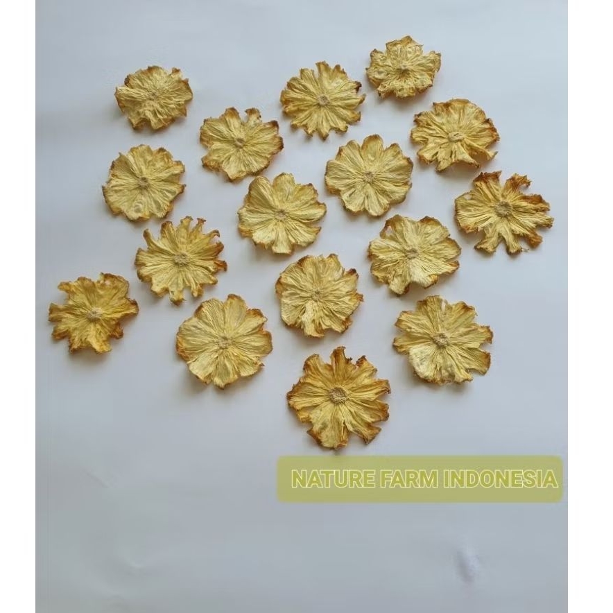 

Nature Farm Premium Dried Pineapple - Nanas iris kering garnish - resin - tea - infused water