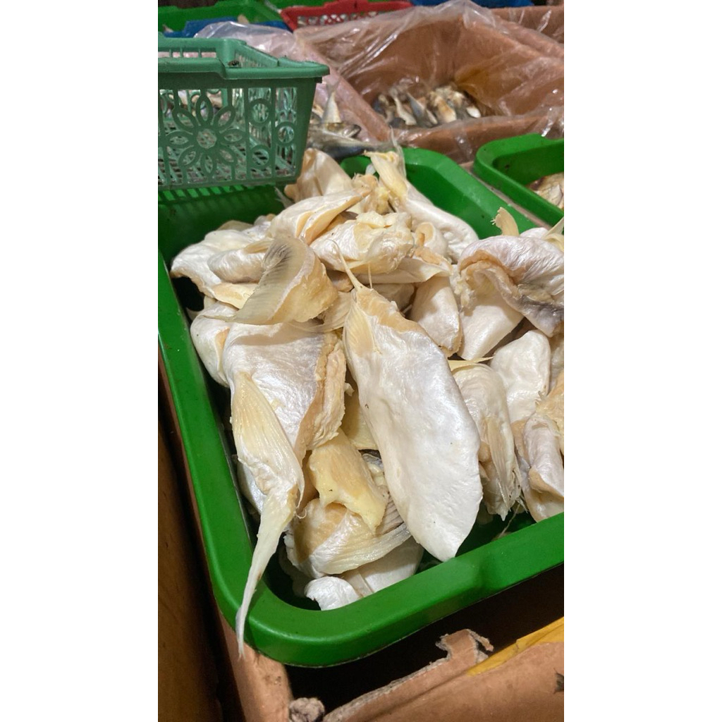 

Ikanasin patin bagian perut bawah patin harga mumer