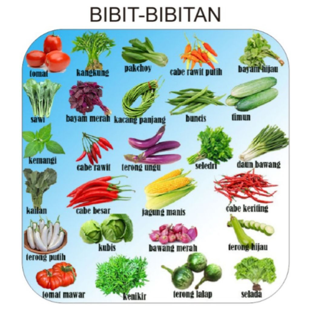 Paket Bibit Bibitan Sayuran Murah isi 10 jenis sayuran