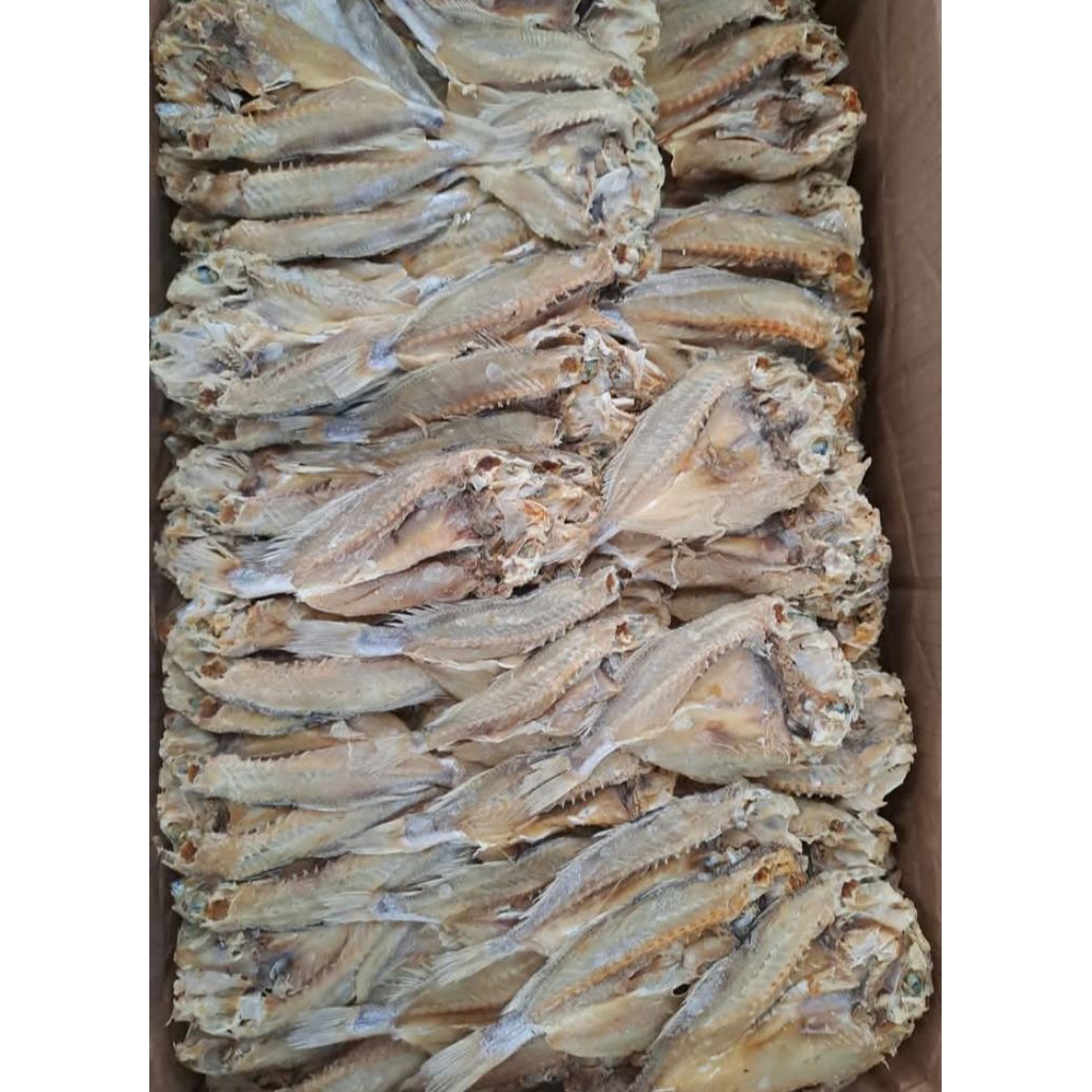 

Kepala Batu Sangge 1 KG