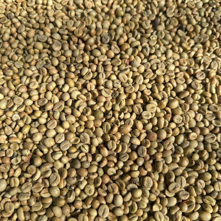 

GreenBeans kopi asalan robusta