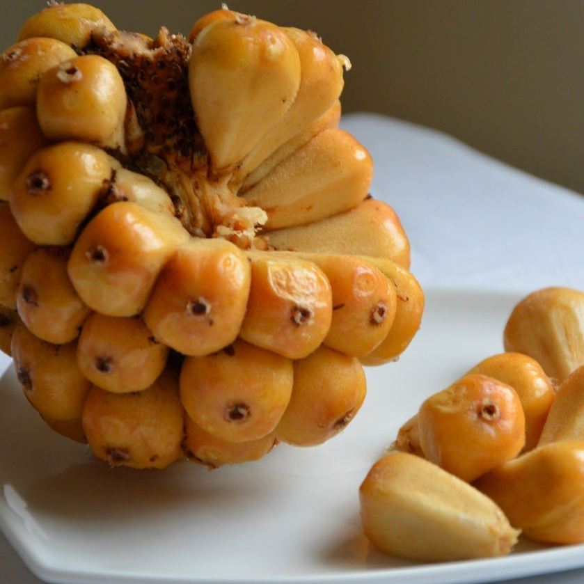 

Asam Cikala Silhala Asam patikala asam bumbu arsik