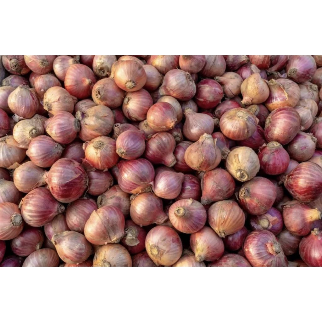 

Bawang Merah Fressh 1Kg