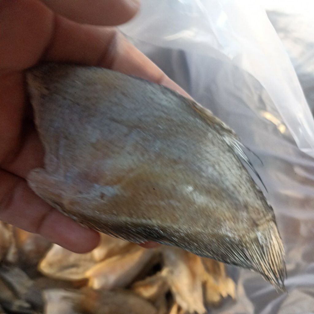 

ikan sepat Siam asin kecil murah Dan berkualitas