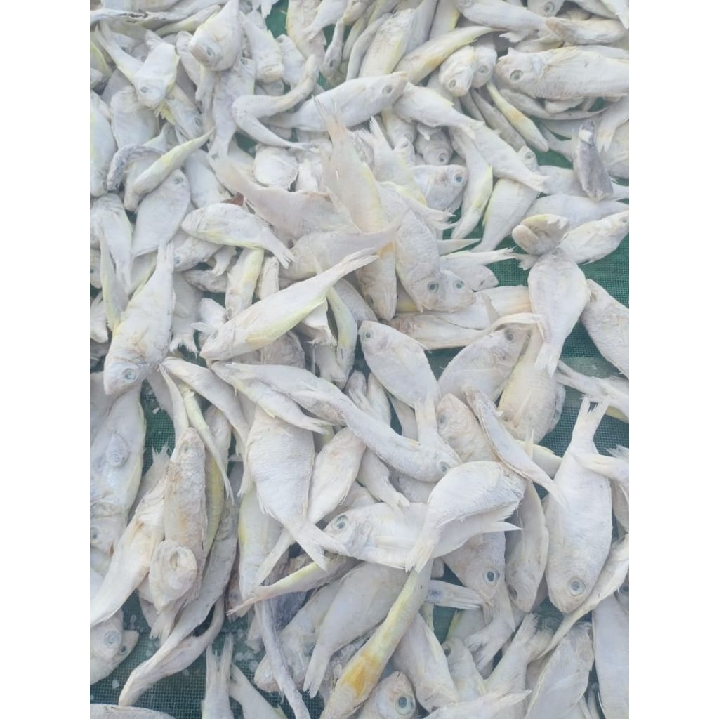 

Ikan Asin Munir