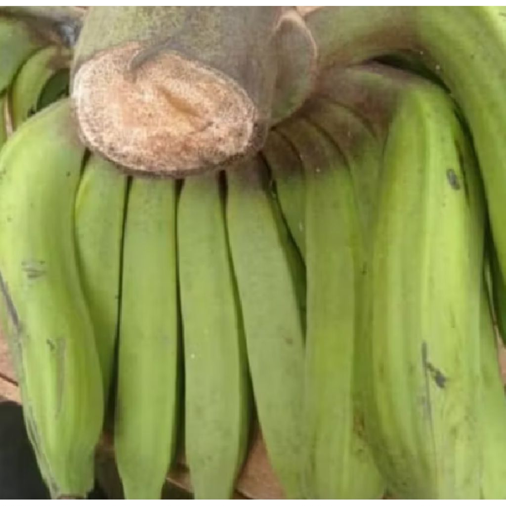 

buah pisang raja nangka 1kg