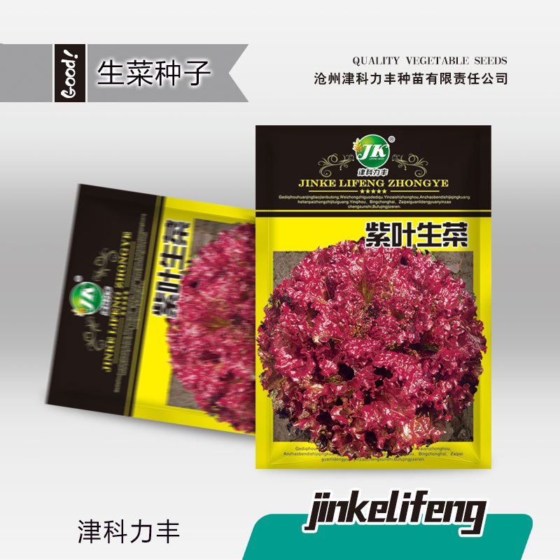 Benih Selada Merah 1000 Biji Super F1 Import