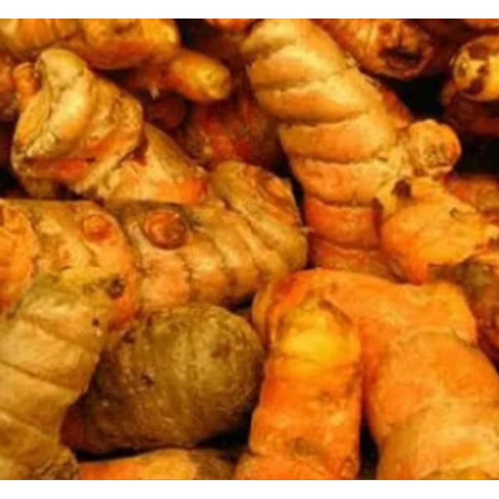 

kunyit kuning bumbu masak/herbal 1 kg