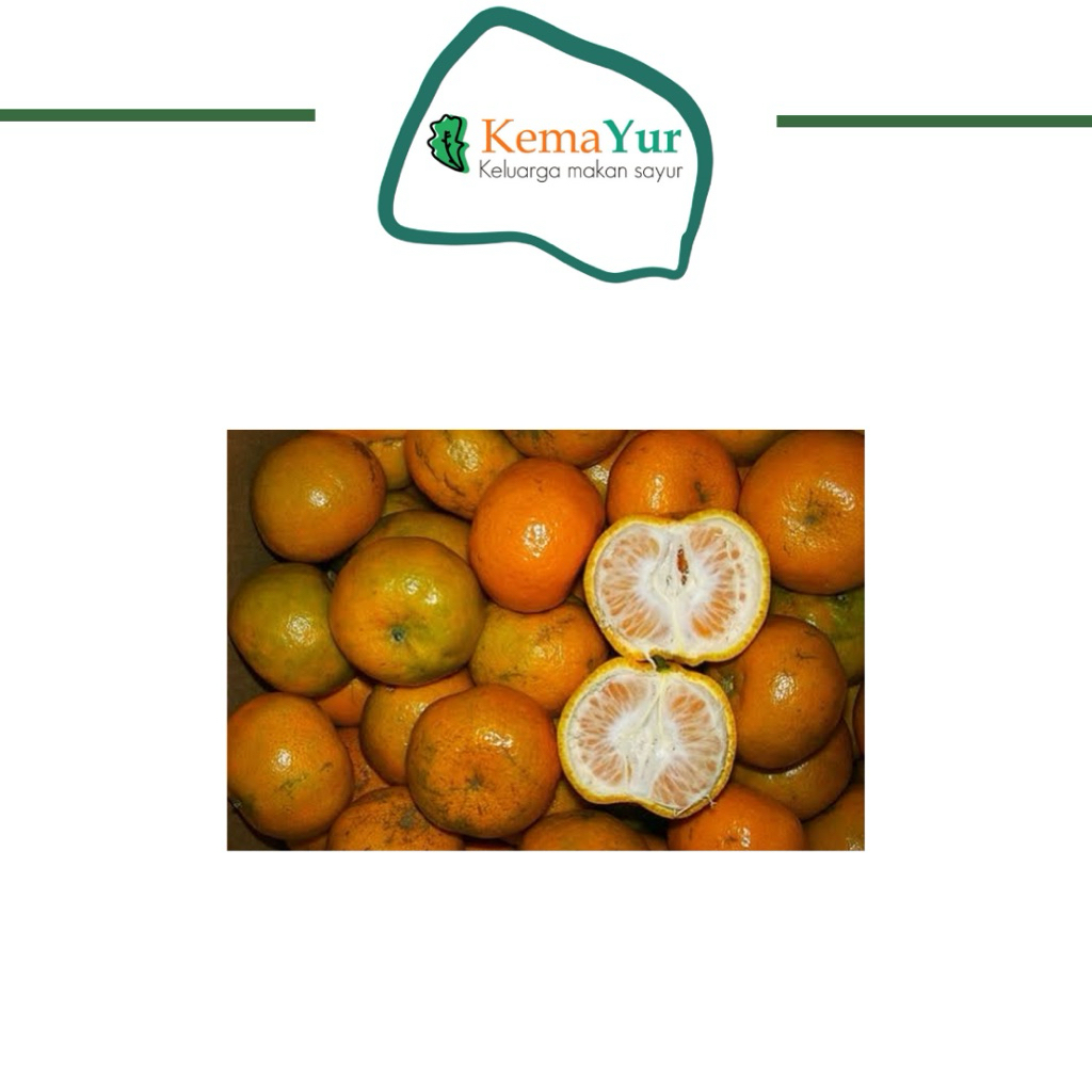 

JERUK KEPROK 1KG