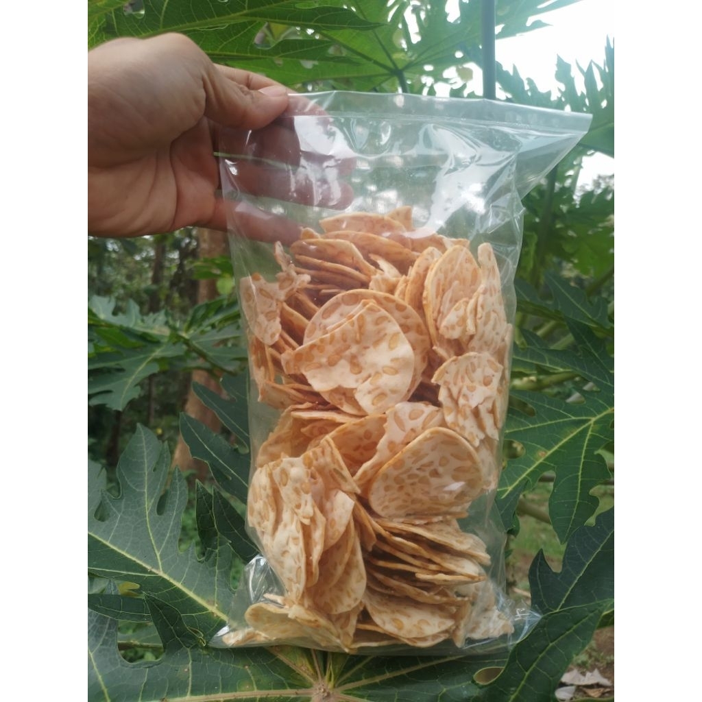 

kripiktempesagu250gr