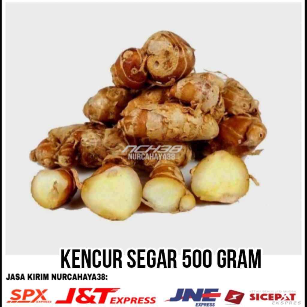 

Kencur segar 500 gram