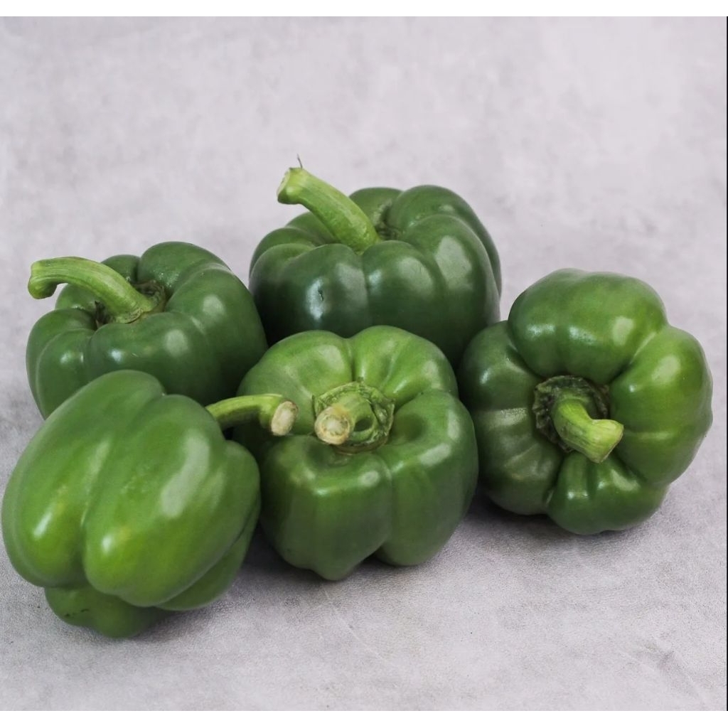 

sayur paprika hijau || 1 pcs || Dapur fresh