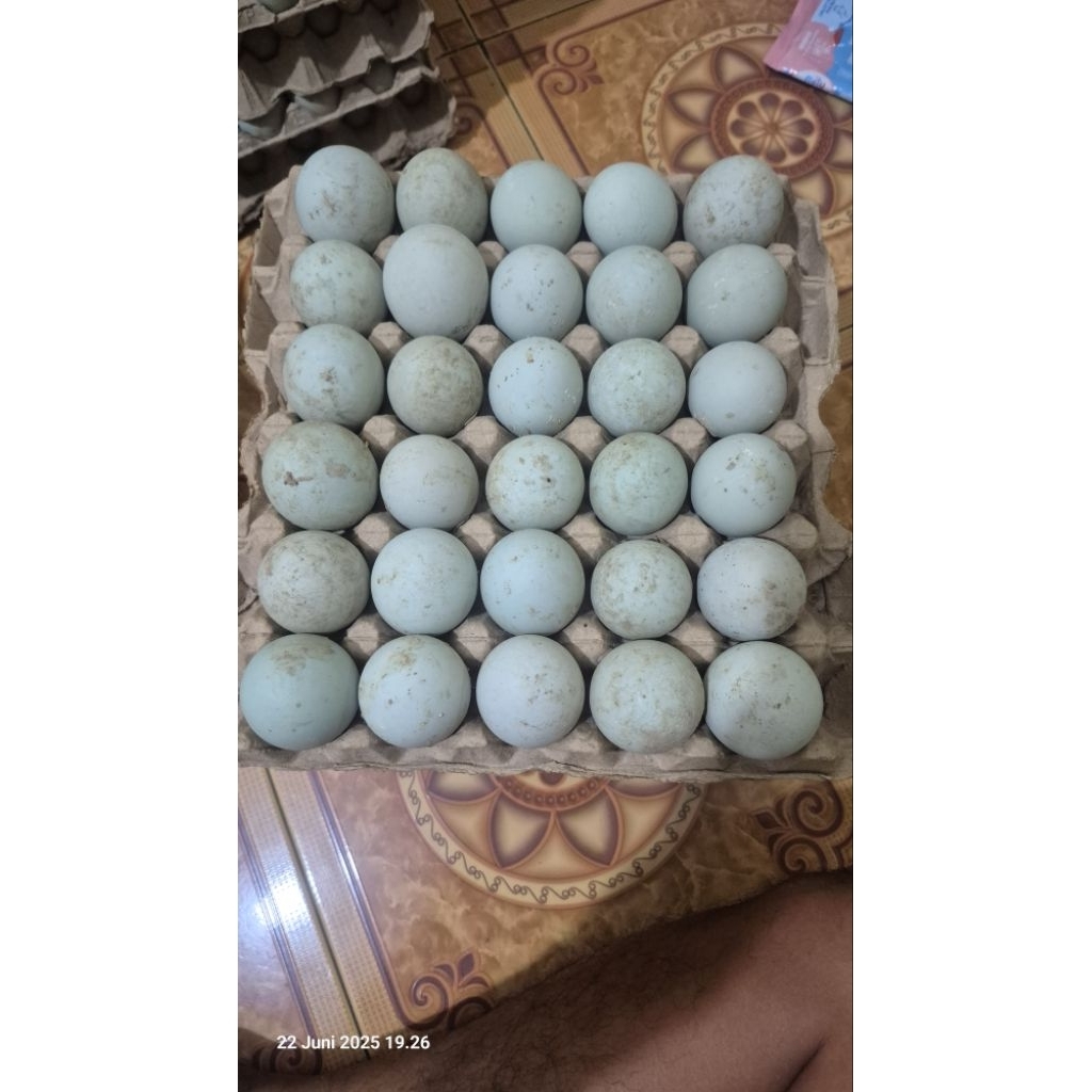 

Telur bebek mentah tawar