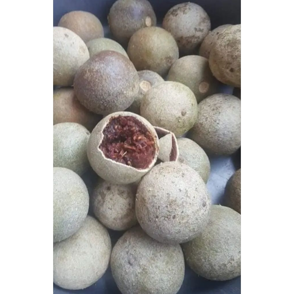 

buah kuista buah kawista mengkel tua dan matang perkilo gran