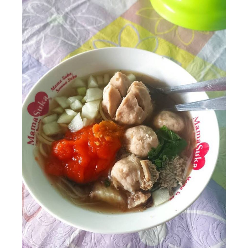 

bakso biasa