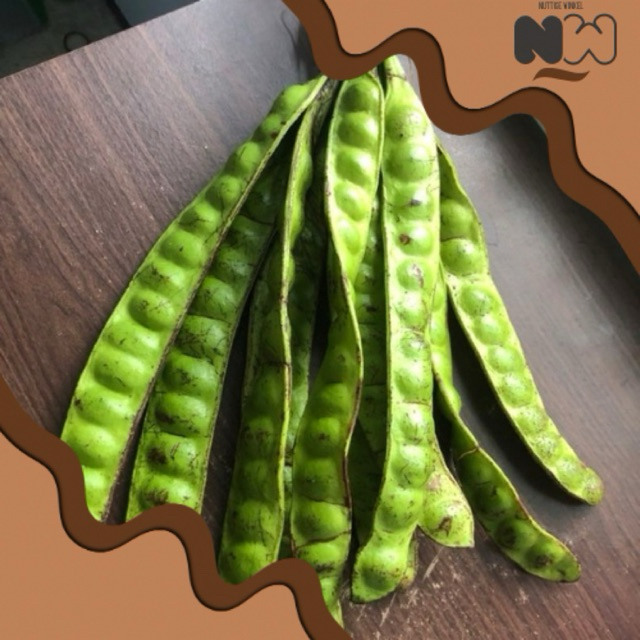 

Petai Segar — 1 Papan Super Pete Rasa Nikmat (Belum Dikupas)