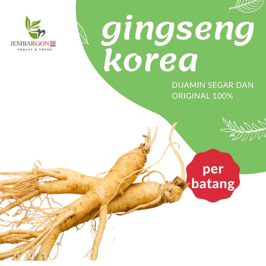 

Ginseng Korea Segar dan Original 100% Perbatang