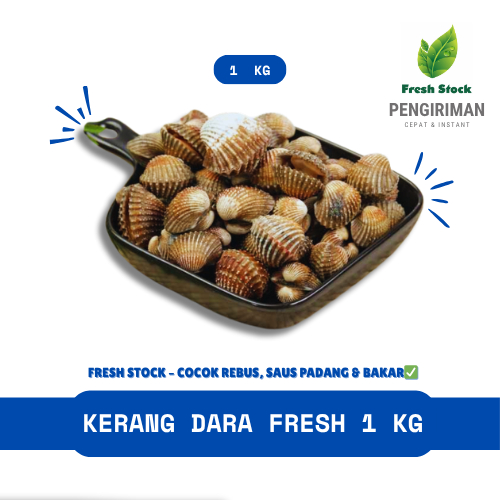 

KERANG DARA FRESH 1 KG | FreshStock