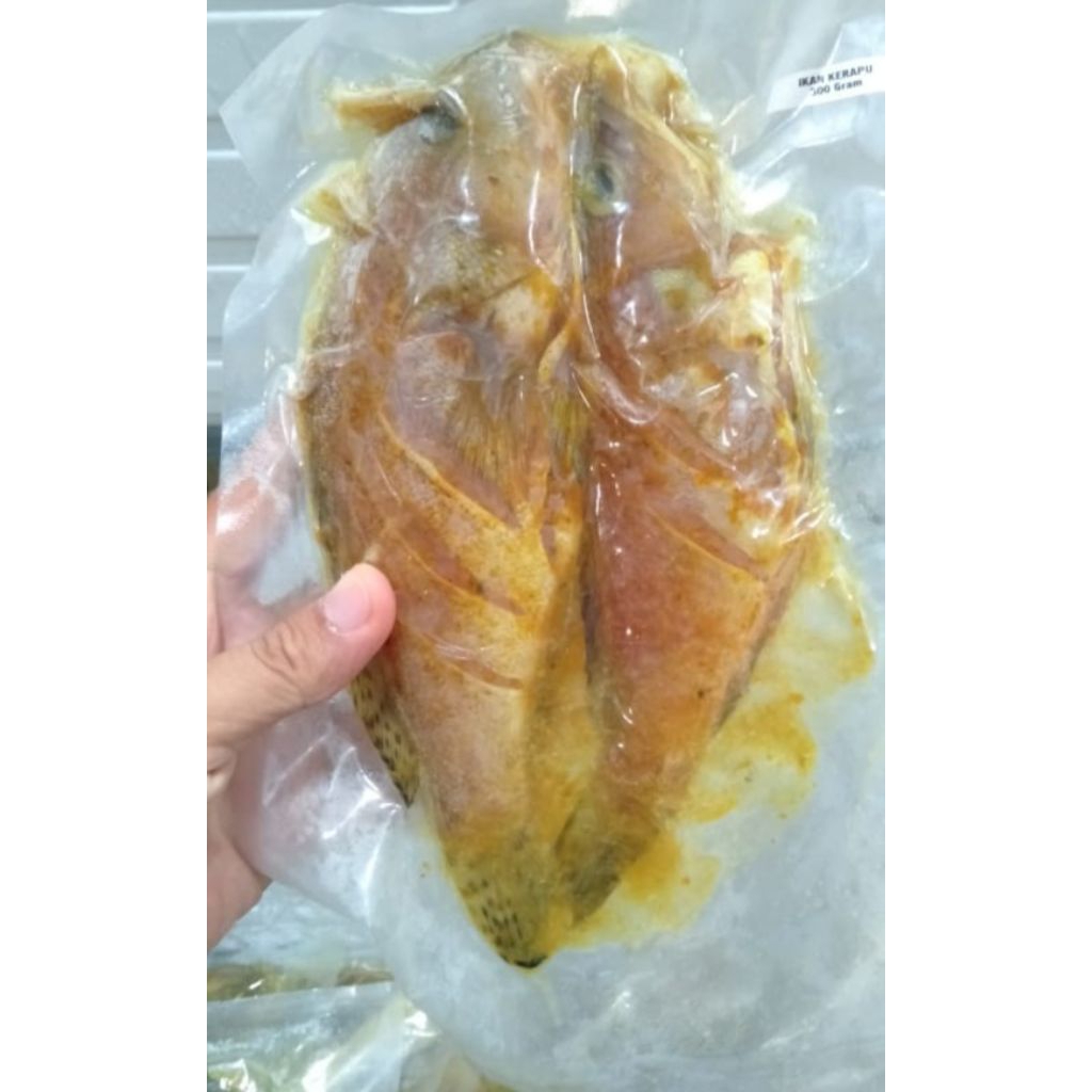 

Ikan kerapu marinasi