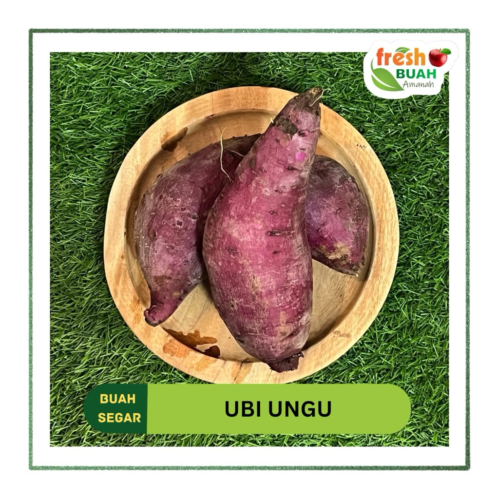 

Ubi Jalar Ungu | Ubi Ungu 1 kg | Umbi - Umbian | Fresh Buah Amanah