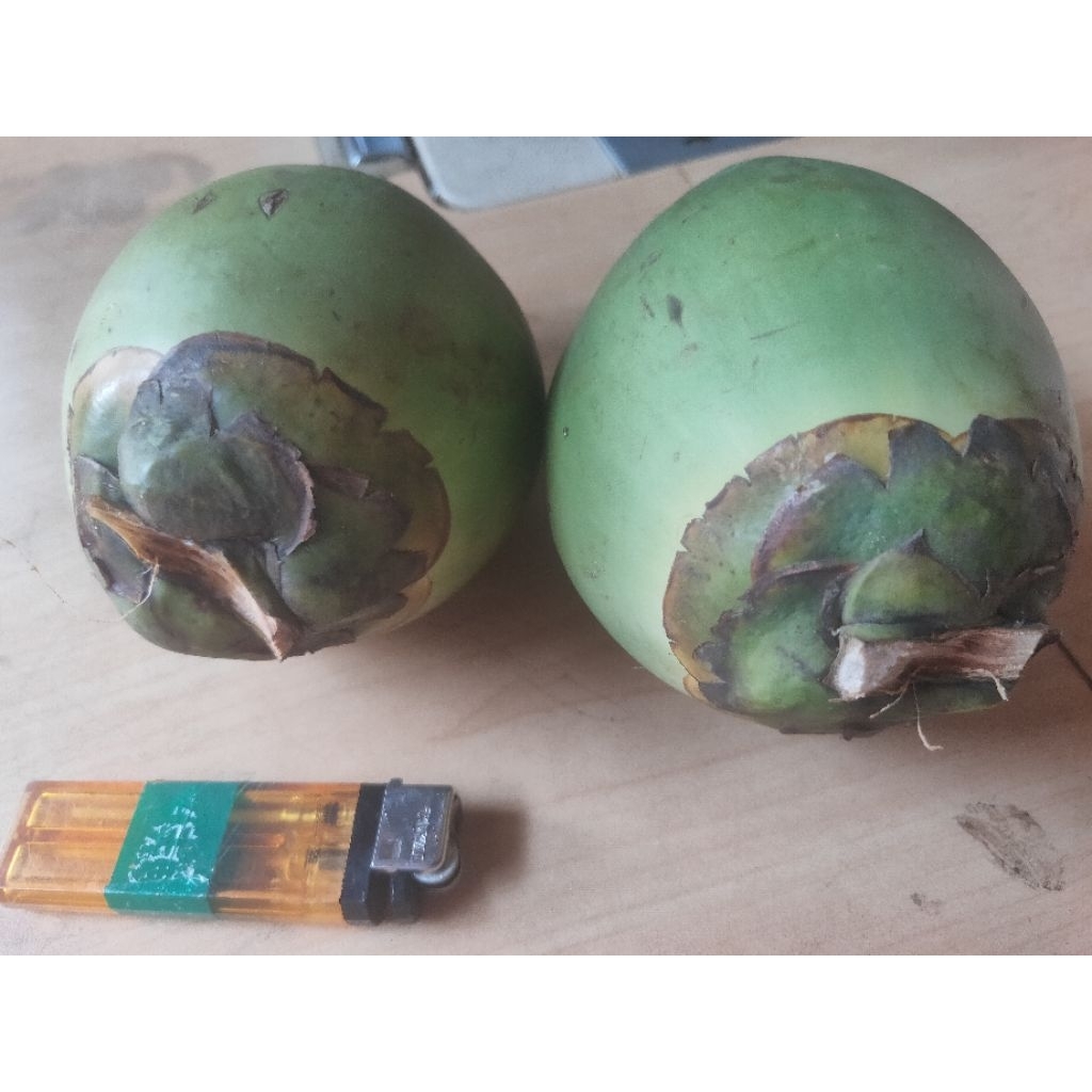 

kelapa cengkir, fresh