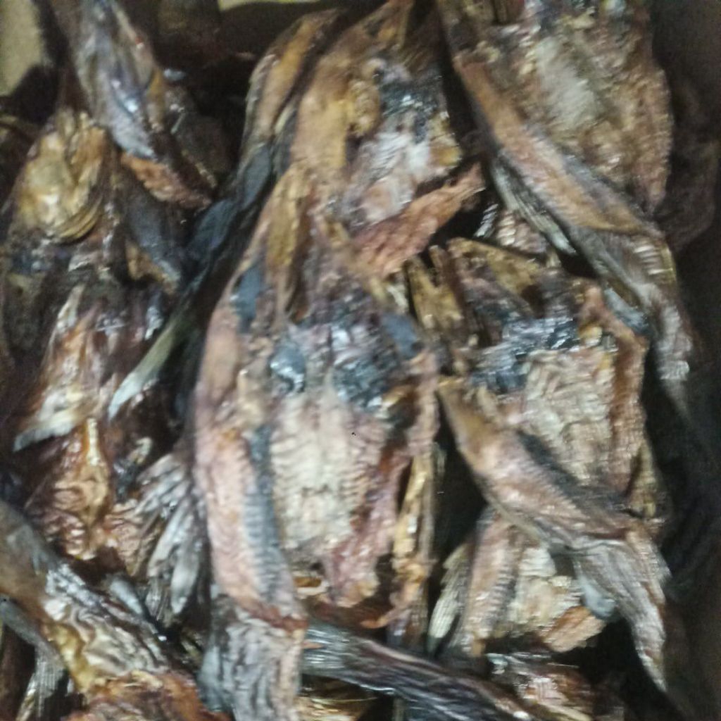 

ikan asap Salai baung sedang 500 gram