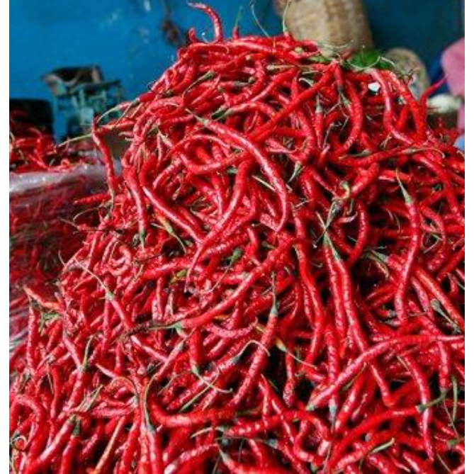 

Cabai Merah Besar / Cabe Besar Tw Merah Segar
