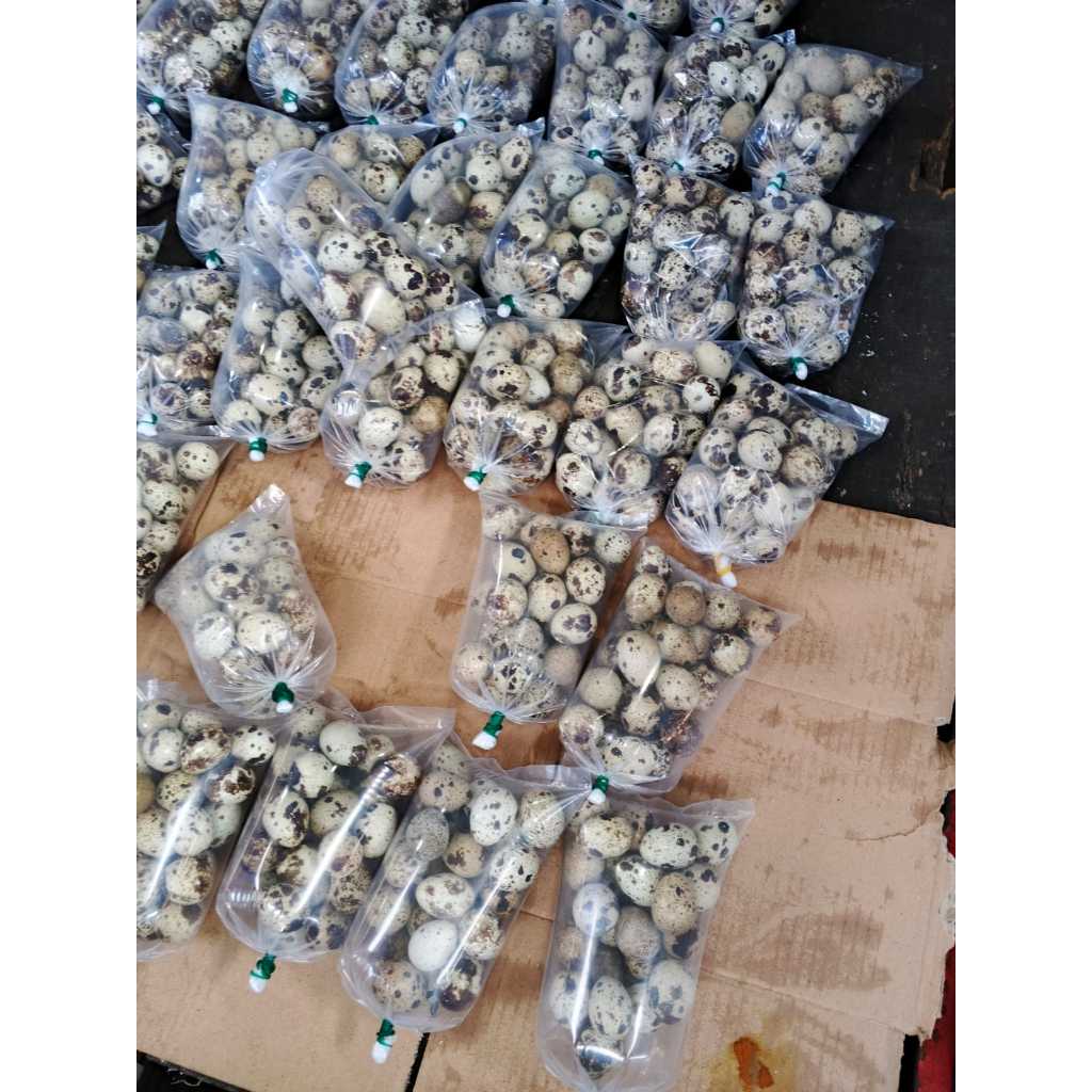 

Promo Telur puyuh mentah isi 20 butir Perbungkus produk baru best seller Instan Grab/Gojek Medan