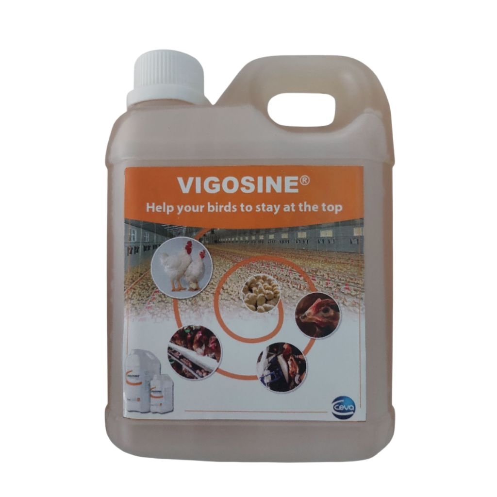 Vigosine repacking 1lt ori ceva lebih murah harga terjangkau