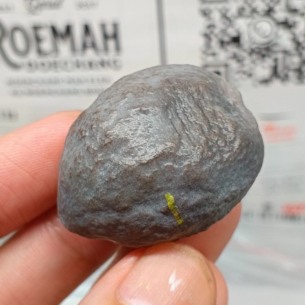 Muncang Adu Anak Pait kode 1