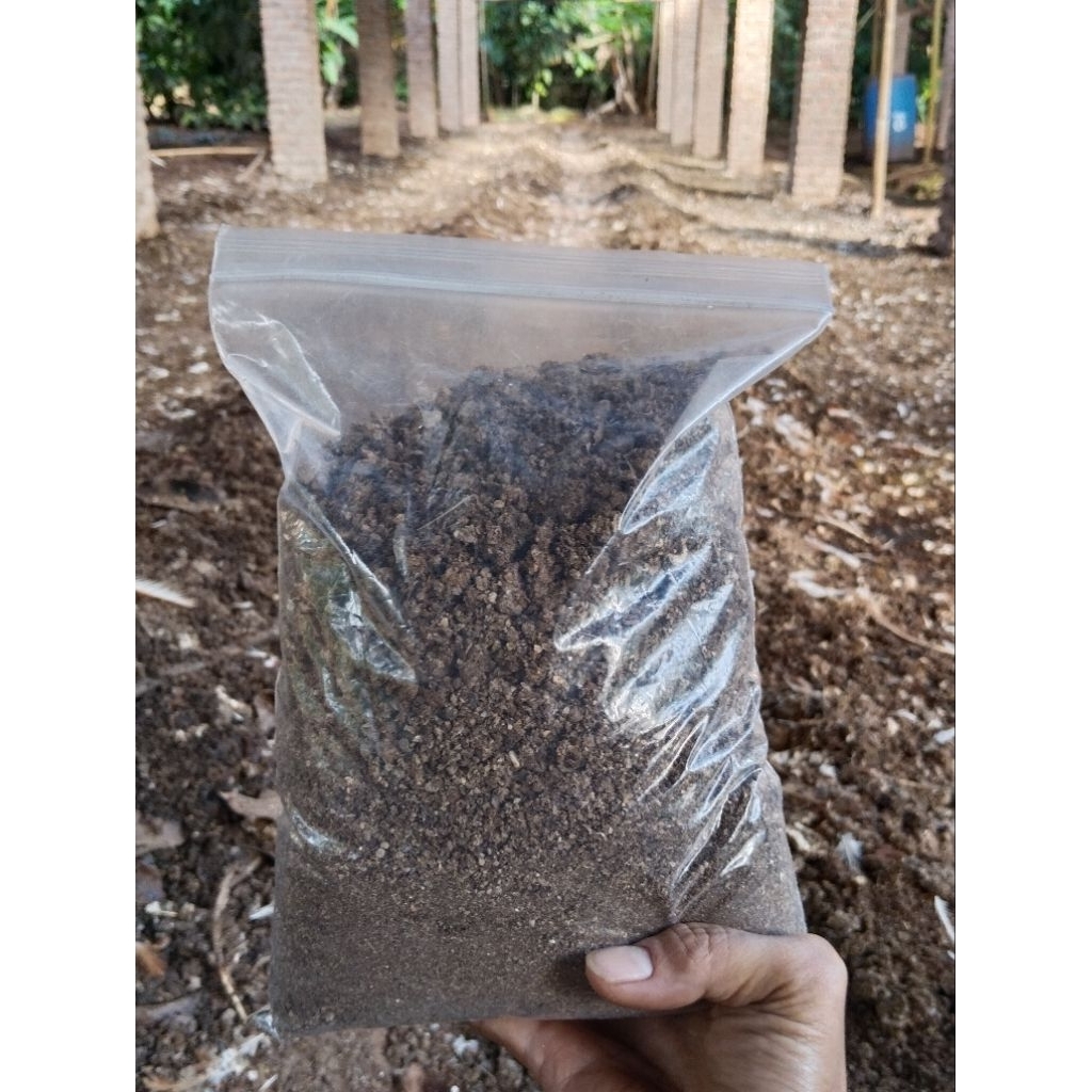 Pupuk Kandang Kotoran Ayam Murni Tanpa Sekam