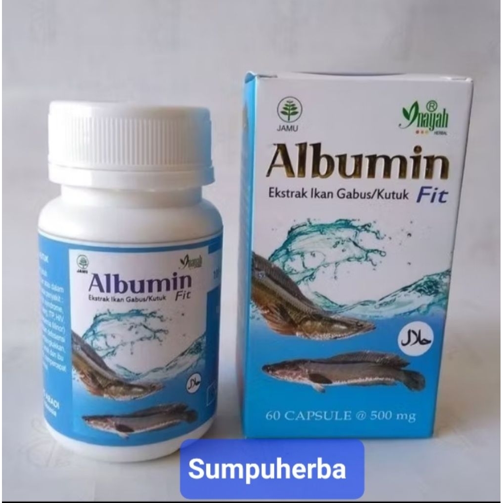 

Sumpuherba#Albumin Fit kapsul, Ekstrak ikan gabus 5x sembuh lebih cepat pasca operasi
