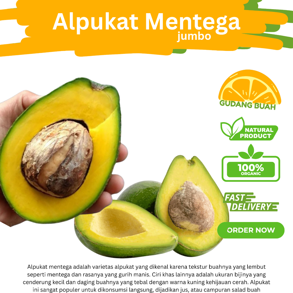 

Alpukat mentega Jumbo 1kg isi 2 Sampai 3 pcs