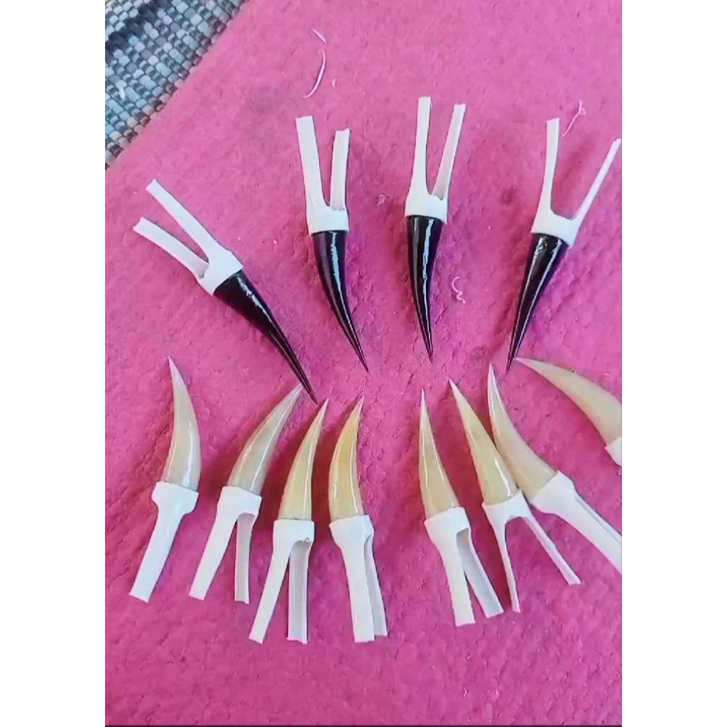 Taji Ayam jago Jalu sambung