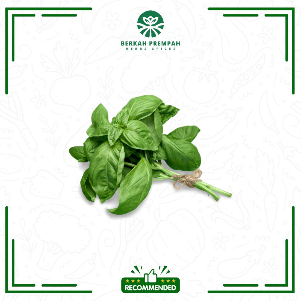 

Sayur daun basil segar - Berkahprempah