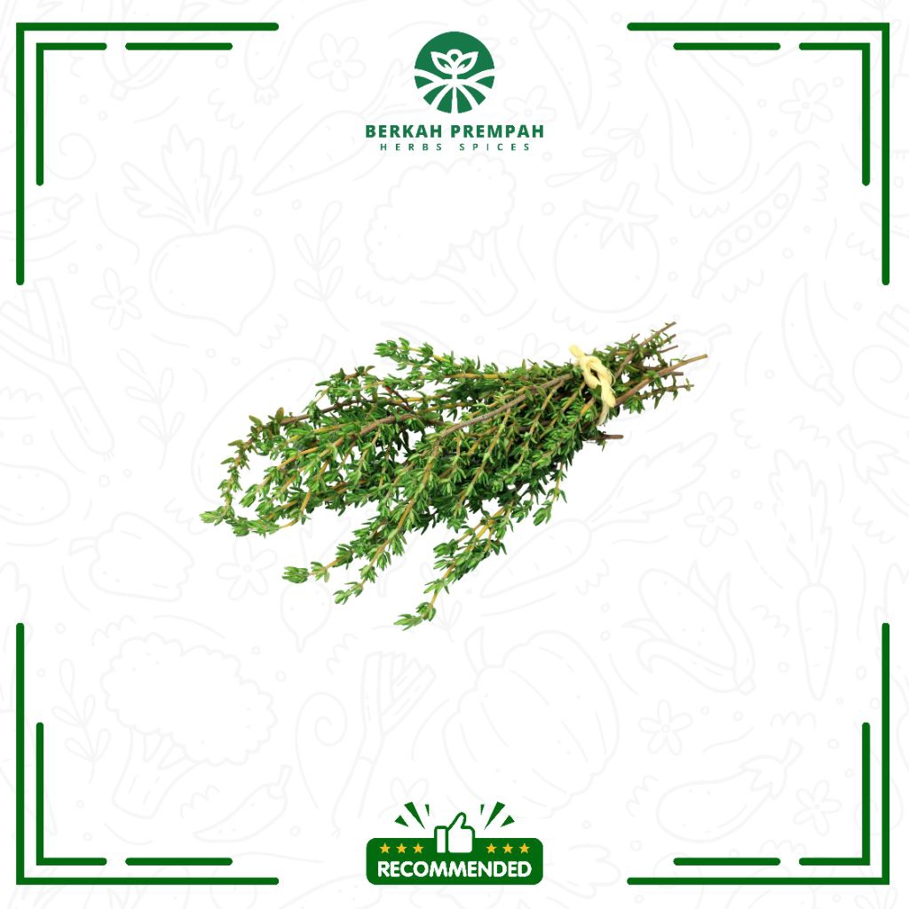 

Daun thyme segar 1pak - Berkahprempah