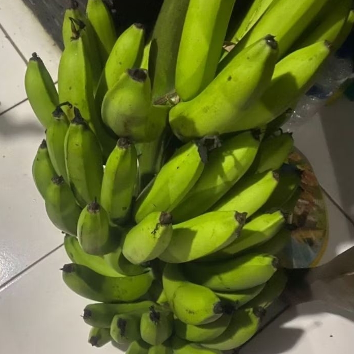 

Buah Pisang Mentah R ML Biru Pisang Bangkaulu