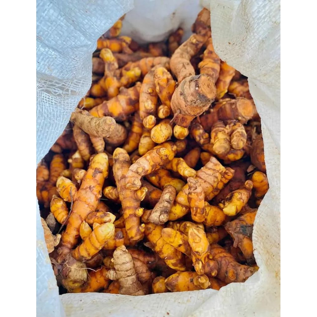 

grosir kunyit sayur segar 1kg