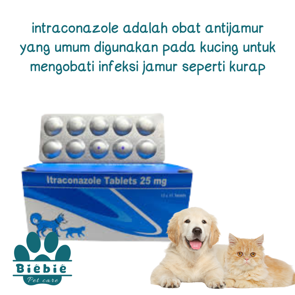Itraconazole, jamur kulit dermatitis, kucing dan anjing